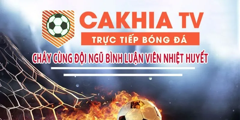 Web cá cược bóng đá trực tuyến livestream trận đấu