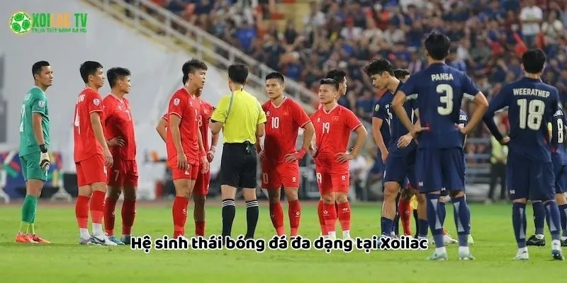 Xoilac tv có hệ sinh thái đa dạng
