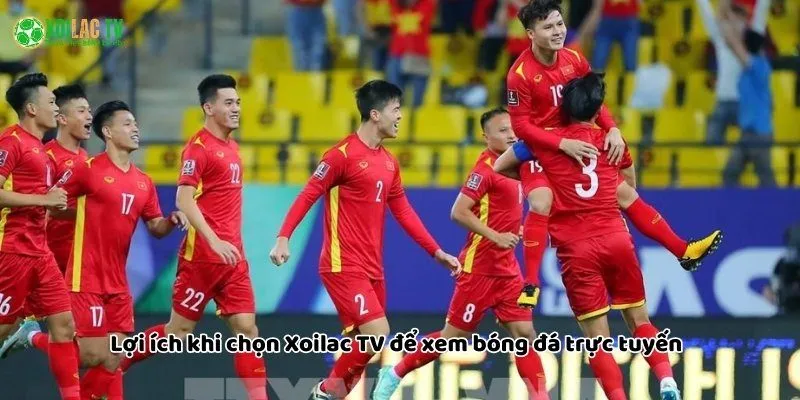 Tại sao nên chọn xoilac để xem bóng đá