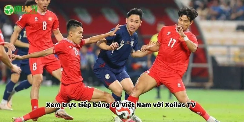 Xem trực tiếp bóng đá Việt Nam cùng xoilac